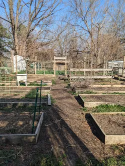 Garden beds